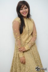 Anjali at Geethanjali Movie Success Meet